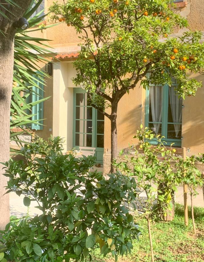 Bed & Breakfast La Des Amandiers Hyeres